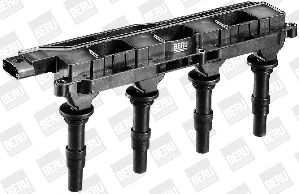 Picture of Ignition Coil - BorgWarner (BERU) - ZS342
