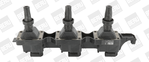 Picture of Ignition Coil - BorgWarner (BERU) - ZS343