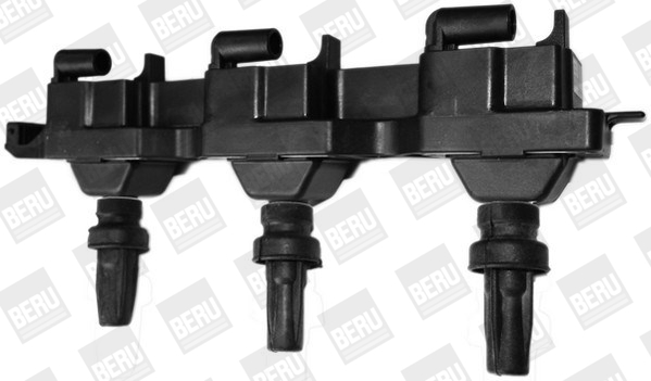 Picture of Ignition Coil - BorgWarner (BERU) - ZS343