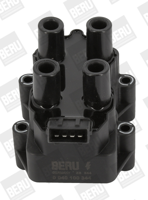 Picture of BorgWarner (BERU) - ZS344