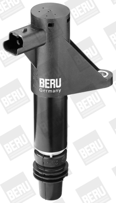 Picture of Ignition Coil - BorgWarner (BERU) - ZS347