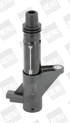Picture of Ignition Coil - BorgWarner (BERU) - ZS347