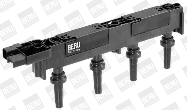 Picture of Ignition Coil - BorgWarner (BERU) - ZS348