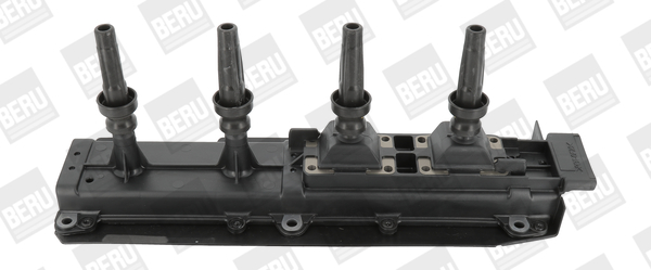 Picture of Ignition Coil - BorgWarner (BERU) - ZS349