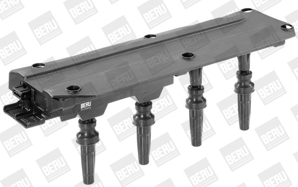 Picture of Ignition Coil - BorgWarner (BERU) - ZS349