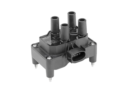 Picture of Ignition Coil - BorgWarner (BERU) - ZS350BO