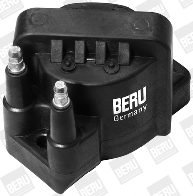 Picture of Ignition Coil - BorgWarner (BERU) - ZS355