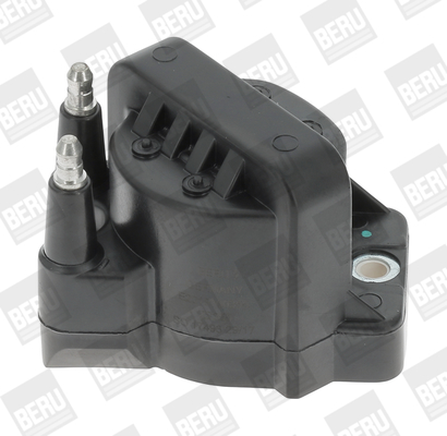 Picture of Ignition Coil - BorgWarner (BERU) - ZS355