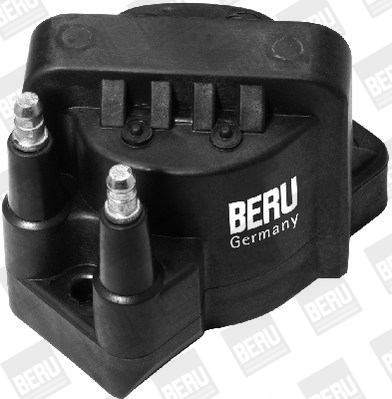 Picture of Ignition Coil - BorgWarner (BERU) - ZS355