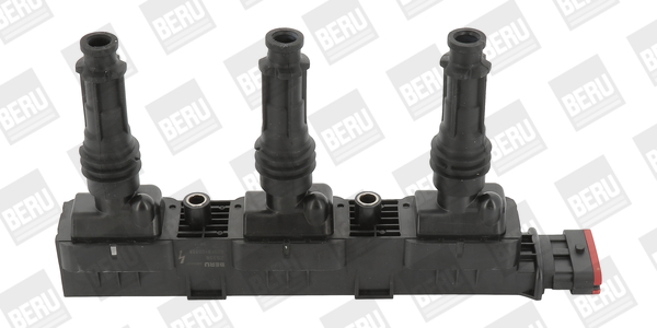 Picture of Ignition Coil - BorgWarner (BERU) - ZS358