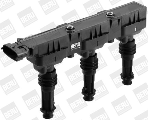 Picture of Ignition Coil - BorgWarner (BERU) - ZS359