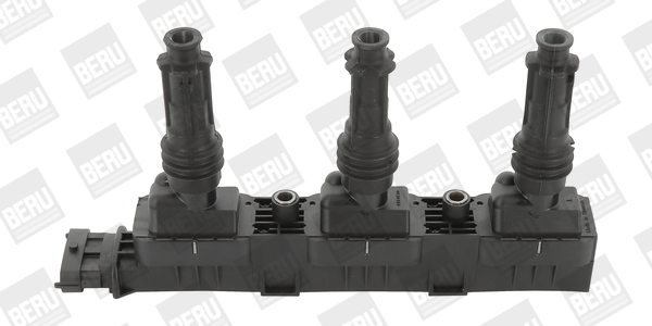 Picture of Ignition Coil - BorgWarner (BERU) - ZS359