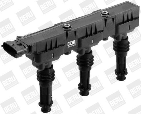Picture of Ignition Coil - BorgWarner (BERU) - ZS359
