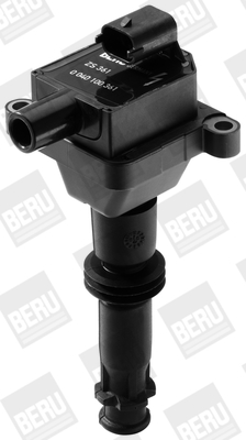 Picture of Ignition Coil - BorgWarner (BERU) - ZS361