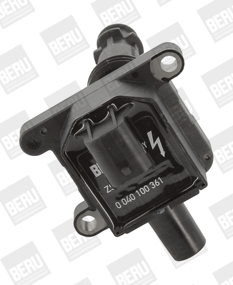 Picture of Ignition Coil - BorgWarner (BERU) - ZS361