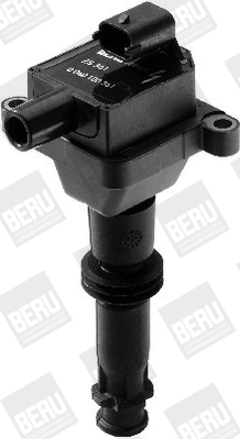 Picture of Ignition Coil - BorgWarner (BERU) - ZS361
