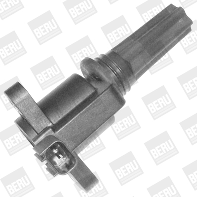 Picture of Ignition Coil - BorgWarner (BERU) - ZS366