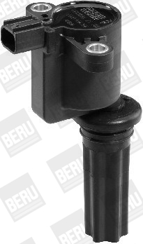 Picture of Ignition Coil - BorgWarner (BERU) - ZS366