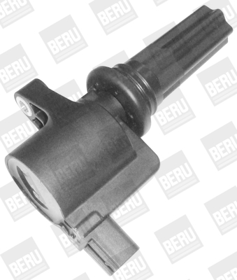 Picture of Ignition Coil - BorgWarner (BERU) - ZS367