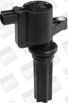 Picture of Ignition Coil - BorgWarner (BERU) - ZS367