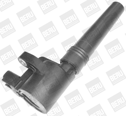 Picture of Ignition Coil - BorgWarner (BERU) - ZS368