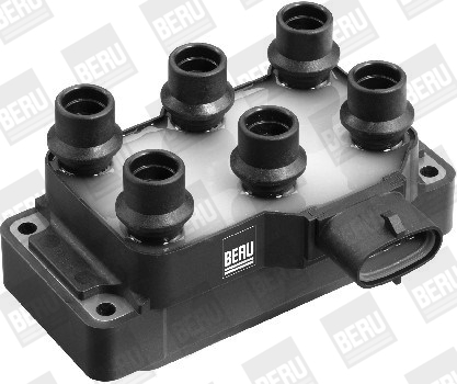 Picture of Ignition Coil - BorgWarner (BERU) - ZS370