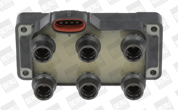 Picture of Ignition Coil - BorgWarner (BERU) - ZS371