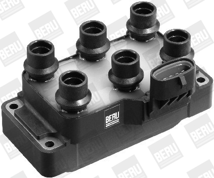 Picture of Ignition Coil - BorgWarner (BERU) - ZS371