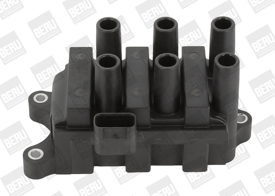 Picture of Ignition Coil - BorgWarner (BERU) - ZS372