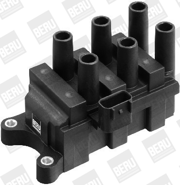 Picture of Ignition Coil - BorgWarner (BERU) - ZS372