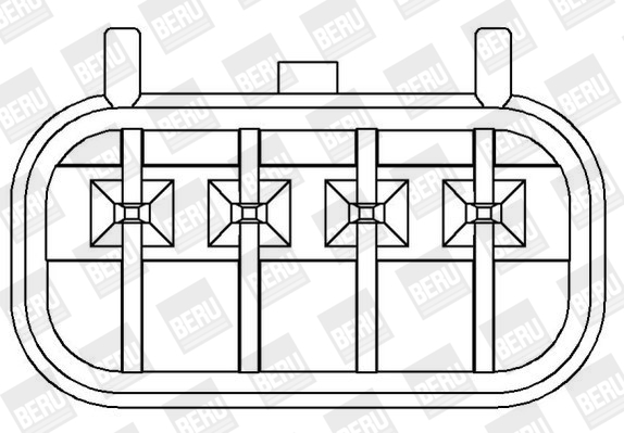 Picture of Ignition Coil - BorgWarner (BERU) - ZS372
