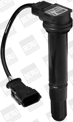 Picture of Ignition Coil - BorgWarner (BERU) - ZS377