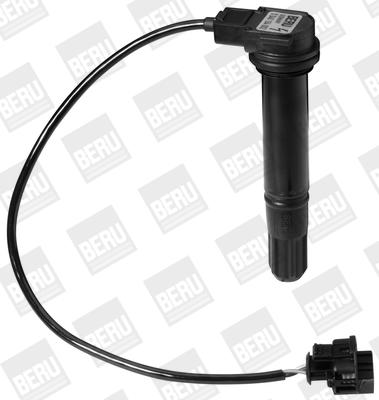 Picture of Ignition Coil - BorgWarner (BERU) - ZS378