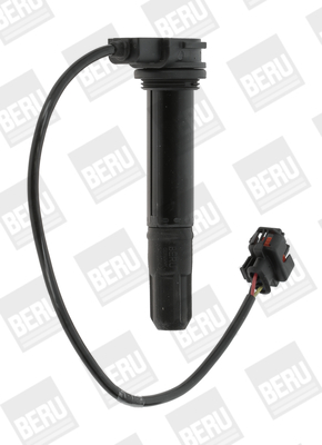 Picture of Ignition Coil - BorgWarner (BERU) - ZS378