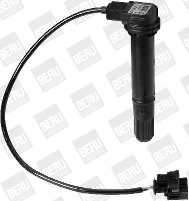 Picture of Ignition Coil - BorgWarner (BERU) - ZS378