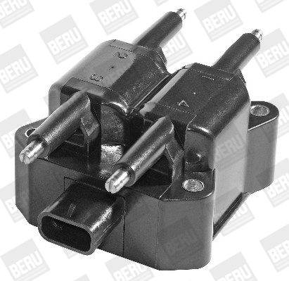 Picture of Ignition Coil - BorgWarner (BERU) - ZS379