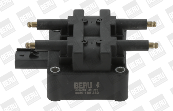Picture of Ignition Coil - BorgWarner (BERU) - ZS380