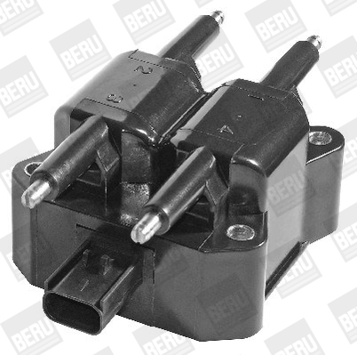 Picture of Ignition Coil - BorgWarner (BERU) - ZS380