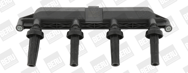 Picture of Ignition Coil - BorgWarner (BERU) - ZS381