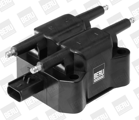 Picture of Ignition Coil - BorgWarner (BERU) - ZS382