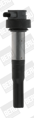 Picture of Ignition Coil - BorgWarner (BERU) - ZS386