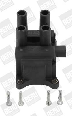 Picture of Ignition Coil - BorgWarner (BERU) - ZS387