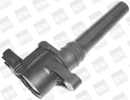 Picture of Ignition Coil - BorgWarner (BERU) - ZS388
