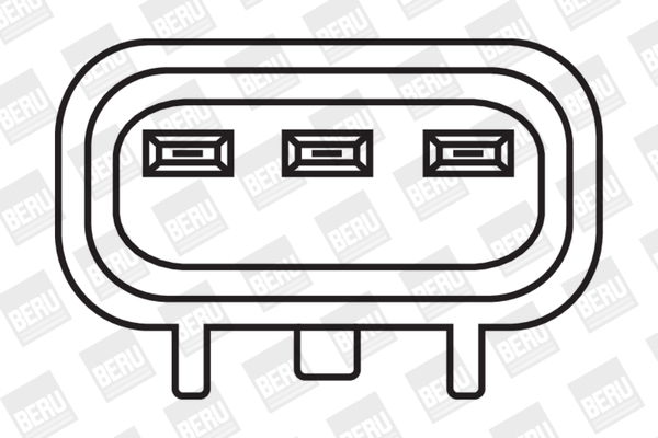 Picture of Ignition Coil - BorgWarner (BERU) - ZS388