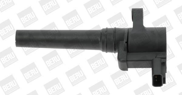 Picture of Ignition Coil - BorgWarner (BERU) - ZS388