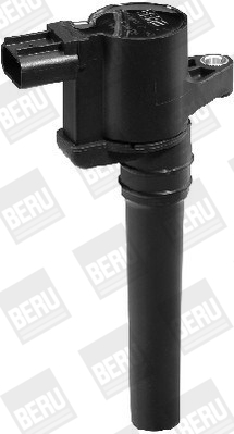 Picture of Ignition Coil - BorgWarner (BERU) - ZS388