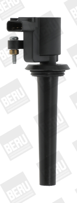 Picture of Ignition Coil - BorgWarner (BERU) - ZS389