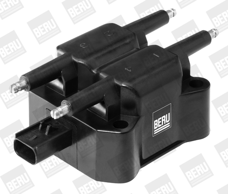 Picture of Ignition Coil - BorgWarner (BERU) - ZS392