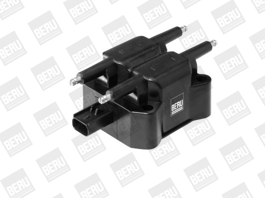 Picture of Ignition Coil - BorgWarner (BERU) - ZS392