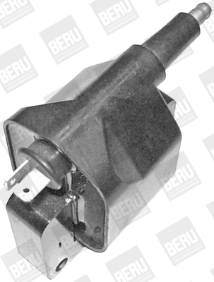 Picture of Ignition Coil - BorgWarner (BERU) - ZS393